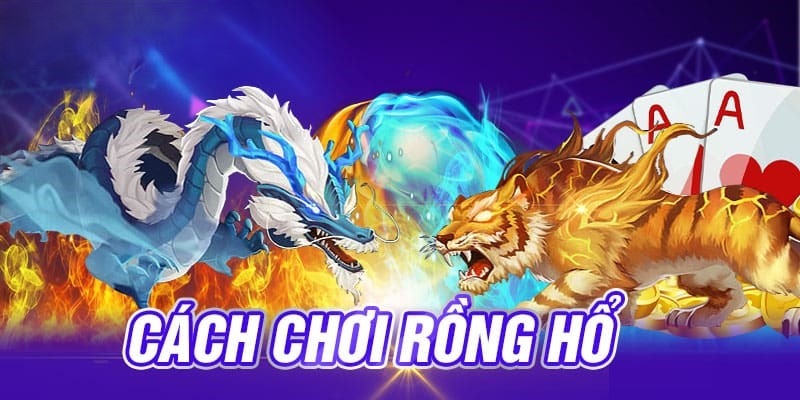 Tổng hợp những cách chơi rồng hổ online giúp thắng cược