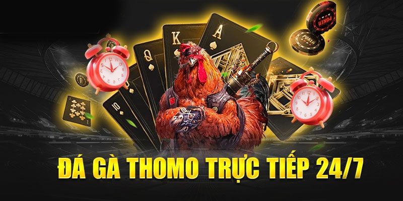 Một số ưu điểm vượt trội khi tham gia đá gà Thomo